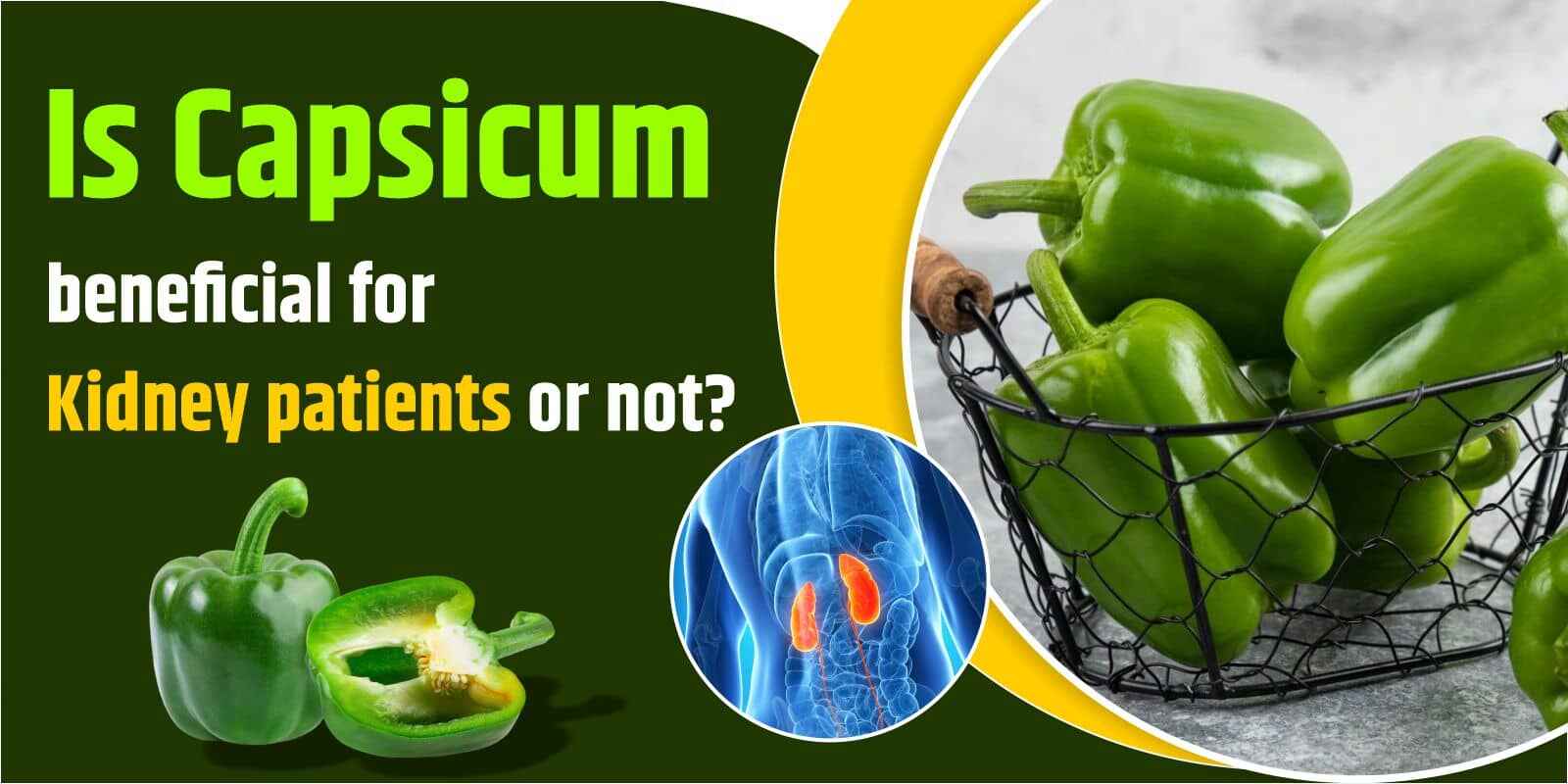 Is Capsicum beneficial for Kidney patients or not?